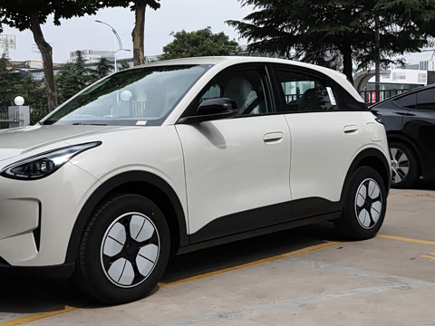 2026�� 310km ������