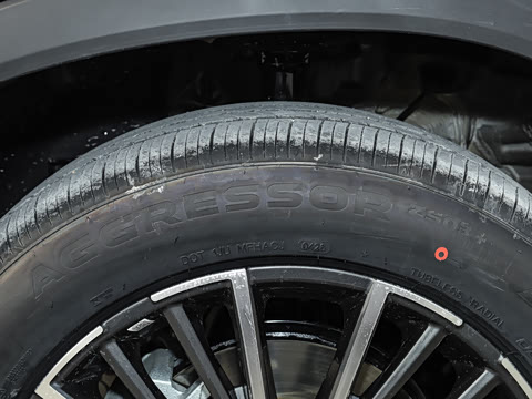 2026�� �ھ��� 290T ���������� 5��