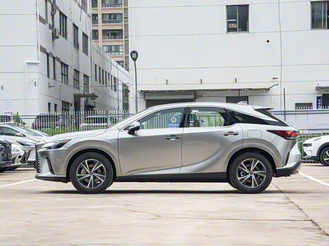 2026�� 300 ����������