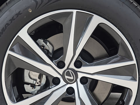 2026�� 300 ����������