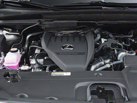 2026�� 300 ����������