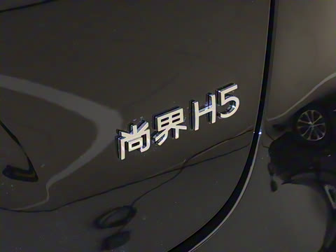 2025�� ���� Max