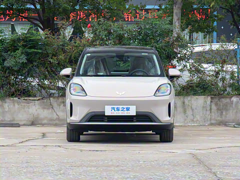 2025�� 325km ������