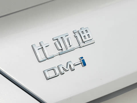 2026�� DM-i 310�콢��