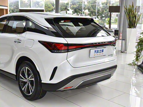 2026�� 300 ����������