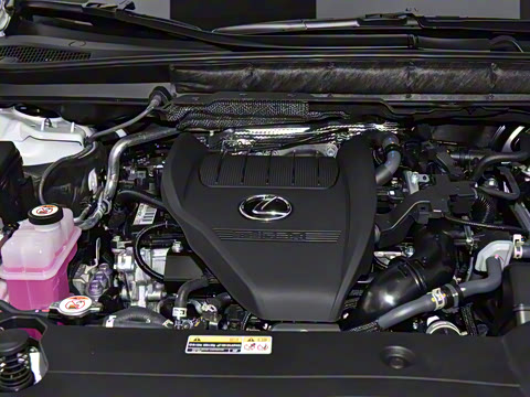 2026�� 300 ����������