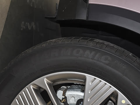 2025�� 565km ������