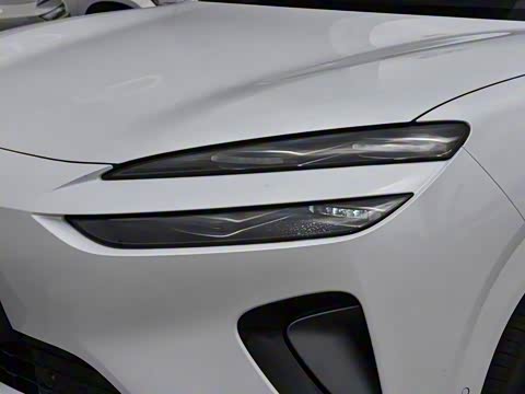 2025�� DM-i 121�캽��