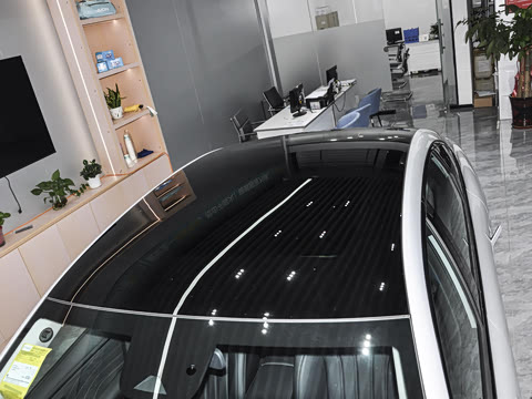 2026�� 520�Ǻ���