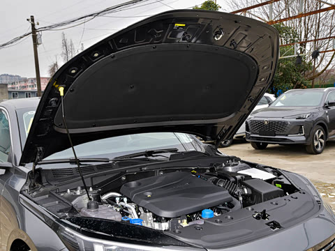 2024�� 1.5T GDI�Զ� �����