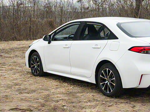 2026�� ����L ���Ͱ� 2.0L ����PLUS��