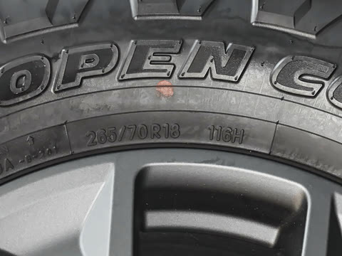 2026�� OVERTRAIL Զ��MAX