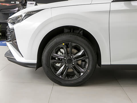 2025�� 1.5L ׿Խ��