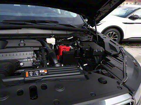 2025�� �Ŀ� 2.0T �������ݰ�