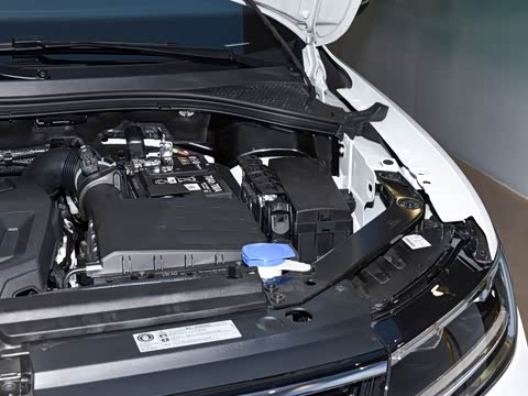 2026�� ���ڿ� 330TSI �Զ�����R-Line��ҫ��