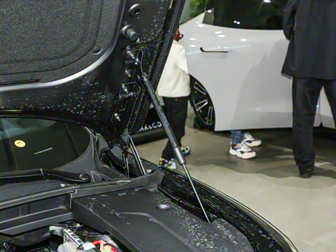 2026�� 126������ Max