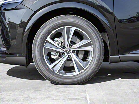 2026�� 300 ����������