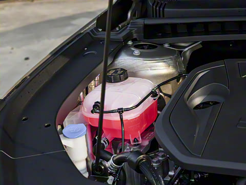 2026�� 125km���ڰ�