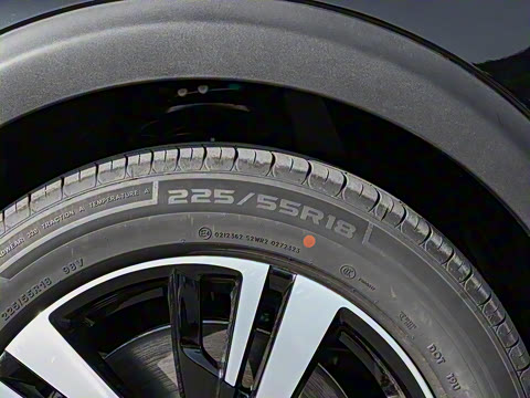 2025�� ������