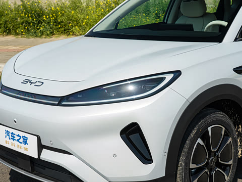 2026�� DM-i 220�Ǻ���