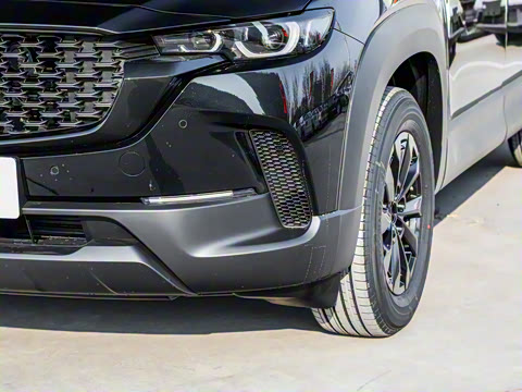 2026�� 2.0L ���а�