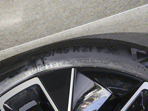 2025�� Max ���������