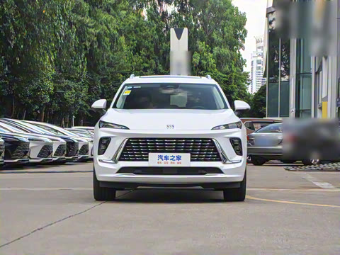 2026�� ������Plus ����Avenir��ά��