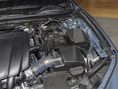 2025�� 2.0L �Զ����Ű�