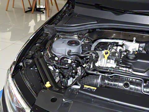 2025�� �Ŀ� 300TSI DSG���а�