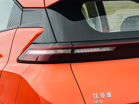 2026�� 305km ������