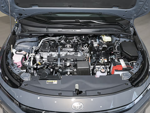 2026�� 1.8L ˫�� ��Ӣ��