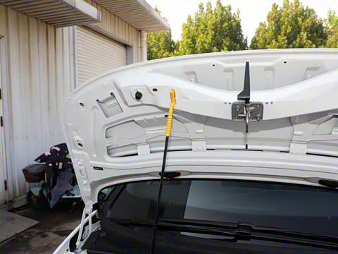 2026�� ������ ����������