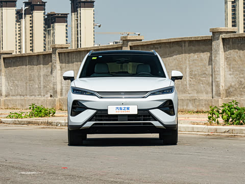 2026�� DM-i 310KM ��Խ��