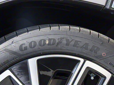 2026�� ������������Plus