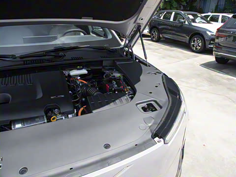 2026�� ������������Plus