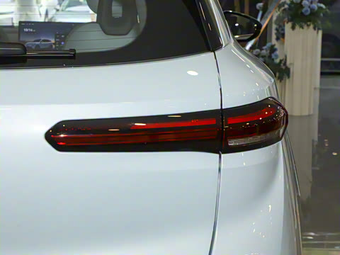 2025�� 565km ������