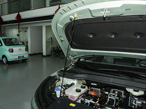 2025�� 565km �����