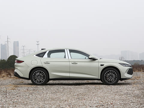 2026�� DM-i 210KM������