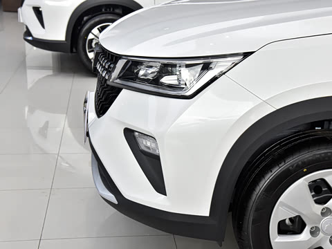 2026�� 1.5L �ֶ�������