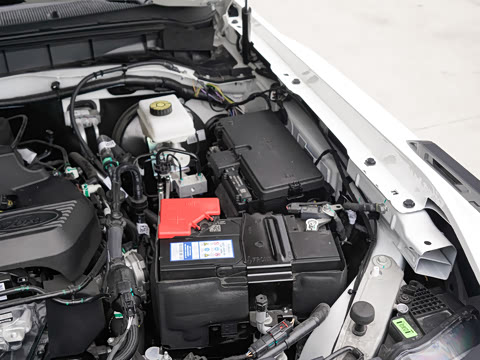 2025�� 2.3T ����SV7 �͹���