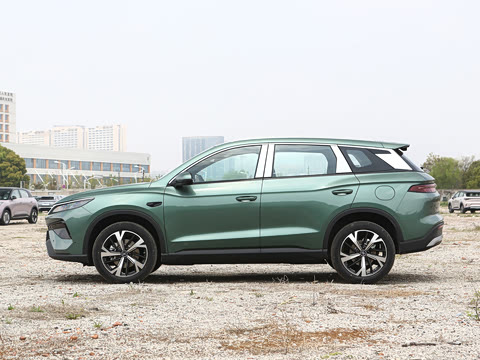 2026�� DM-i 220KM��Խ��