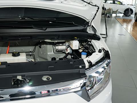 2026�� �����