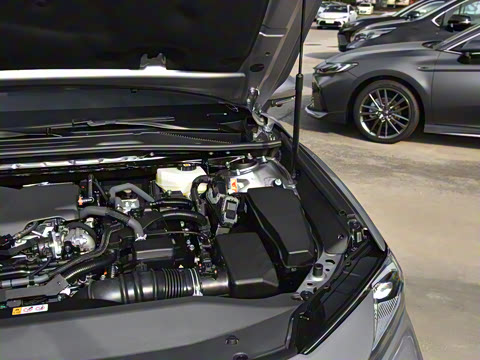 2026�� ˫�� 2.5HG ����