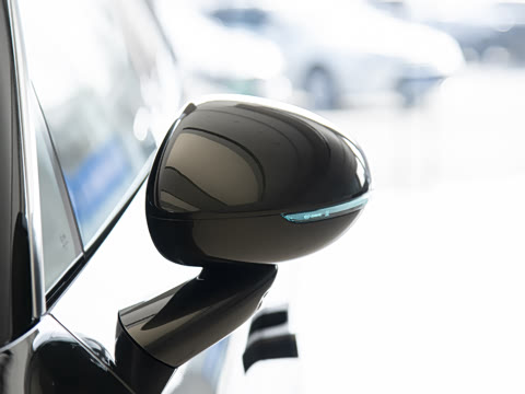 2025�� ���� Max��������