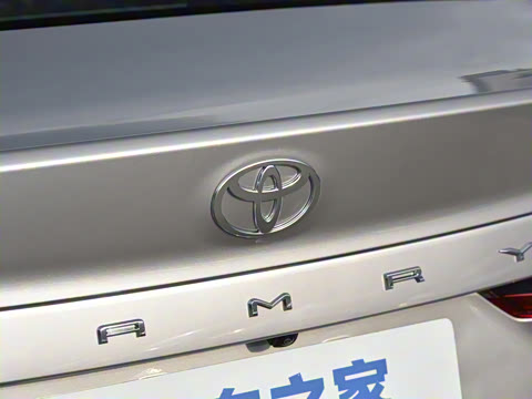 2026�� ˫�� 2.5HG ����