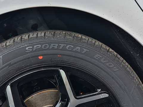 2026�� ������