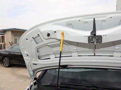 2026�� ������ ���ڰ�