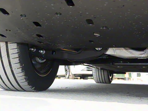 2026�� ���� Max�������� 6��