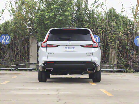 2026�� ȫ��30����ҫ�� 2.0L e:HEV ����������