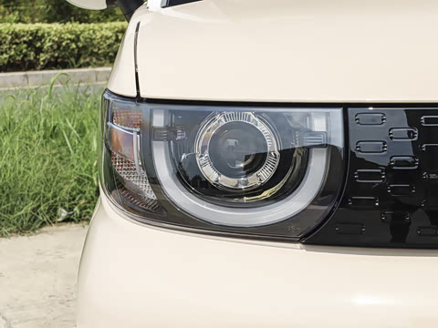 2025�� 205km ʥ����